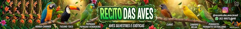 Publicidade